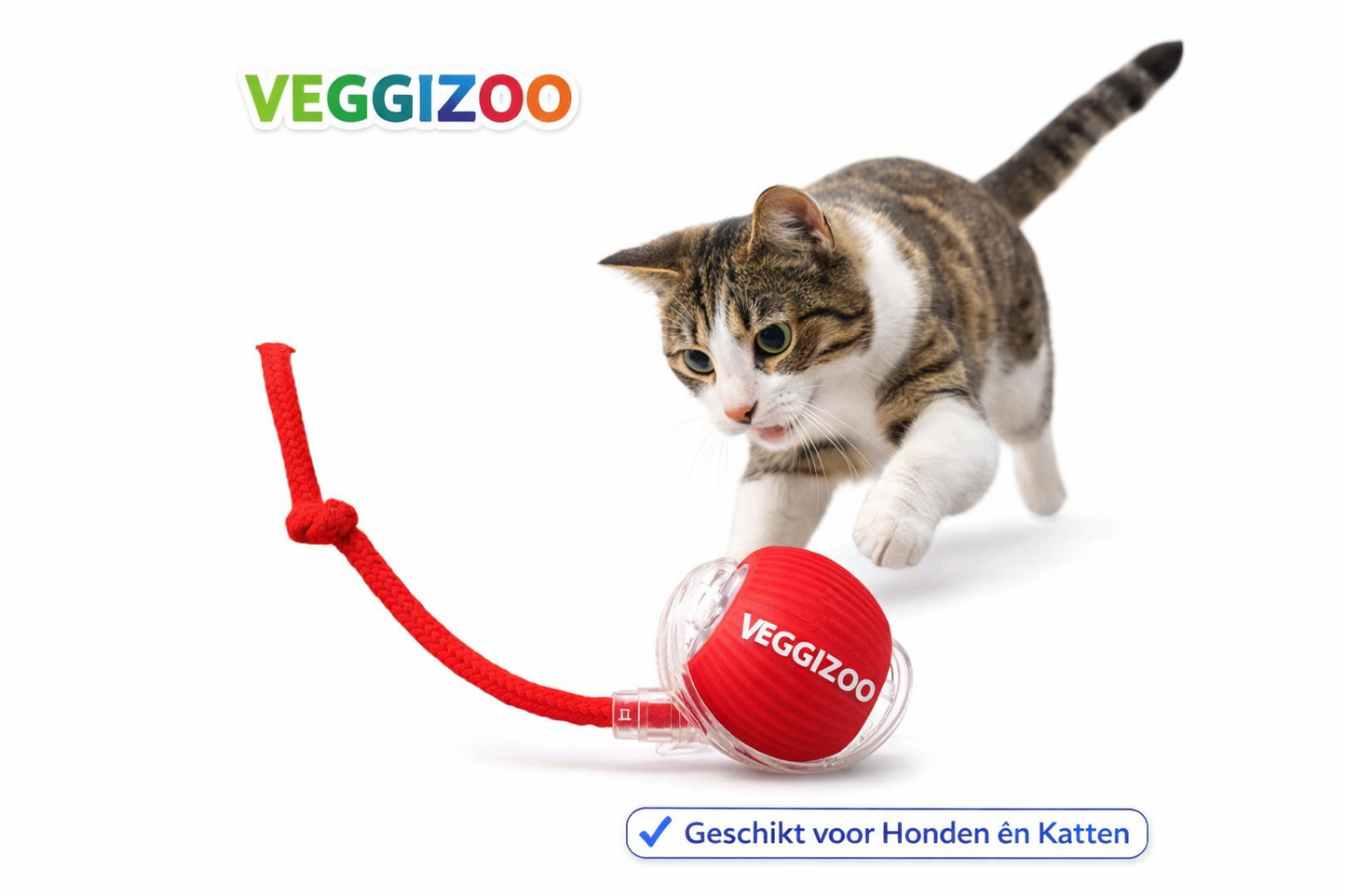 Interactive Ball Toy for Dogs & Cats