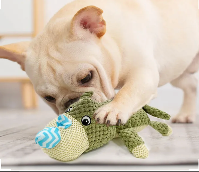 13 Dog  Toys to Keep Your Dog Entertained