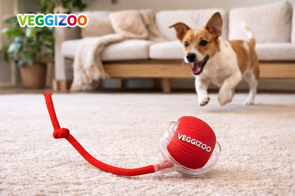 Interactive Ball Toy for Dogs & Cats