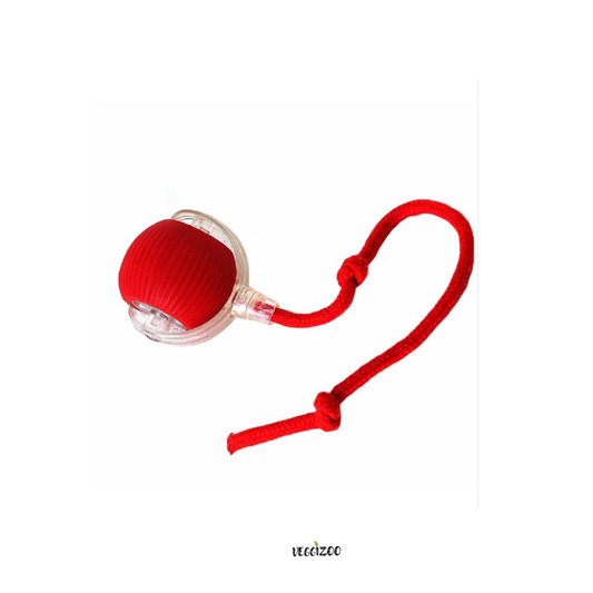 Interactive Ball Toy for Dogs & Cats