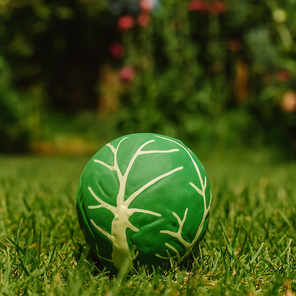 🥬 Lina - The Comforter