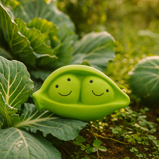 🫘  Pico - The Companions